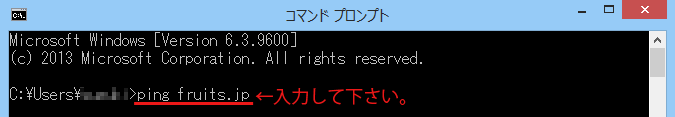 コマンドプロンプト入力例